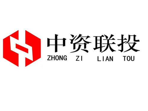 武漢市中資聯(lián)投投資咨詢 專業(yè)投資智慧引領(lǐng)區(qū)域發(fā)展新動(dòng)能